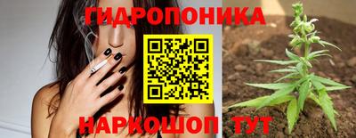 ALPHA PVP Аргун